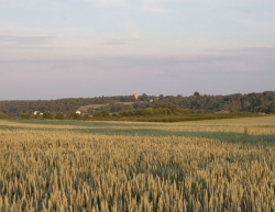 Nałęczów w obiektywie Macieja Kudelskiego :: © Maciej Kudelski