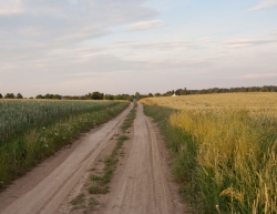 Nałęczów w obiektywie Macieja Kudelskiego :: © Maciej Kudelski