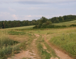 Nałęczów w obiektywie Macieja Kudelskiego :: © Maciej Kudelski