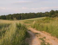 Nałęczów w obiektywie Macieja Kudelskiego :: © Maciej Kudelski