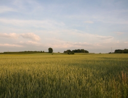 Nałęczów w obiektywie Macieja Kudelskiego :: © Maciej Kudelski