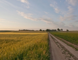 Nałęczów w obiektywie Macieja Kudelskiego :: © Maciej Kudelski