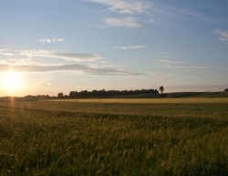 Nałęczów w obiektywie Macieja Kudelskiego :: © Maciej Kudelski